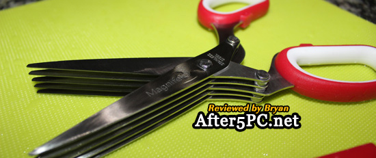 Magnifeko Stainless Steel Multiple Blades Herb Scissor - Review